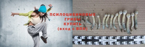 спайс Приозерск