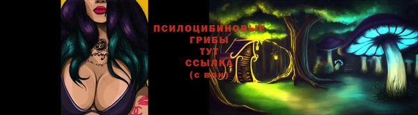 2c-b Алзамай