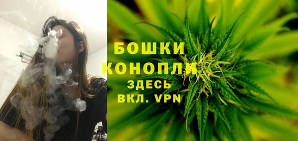 2c-b Алзамай
